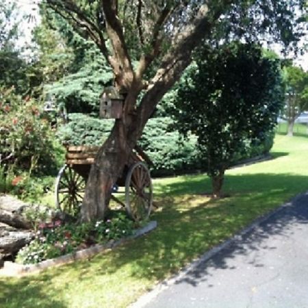 Dargaville Motel Buitenkant foto