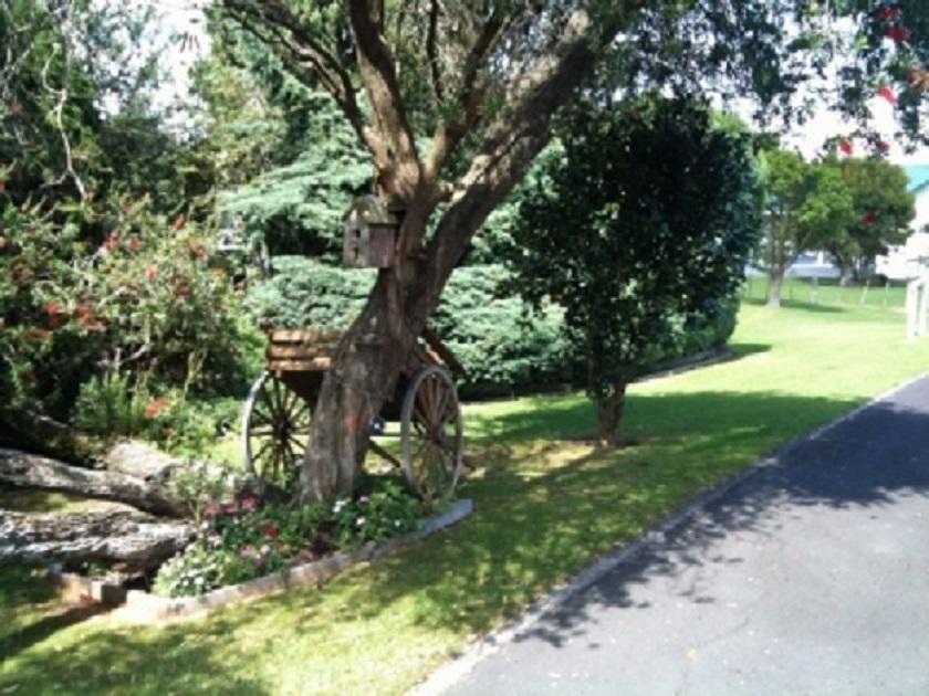 Dargaville Motel Buitenkant foto